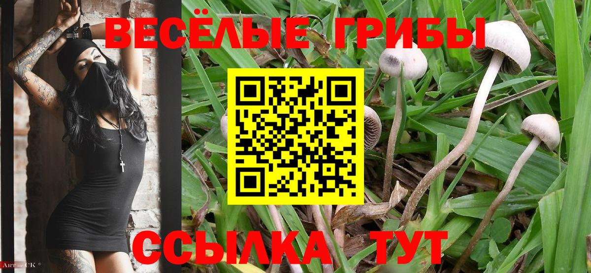 Галлюциногенные грибы мухоморы  где продают наркотики  Петропавловск-Камчатский  Вход с VPN 